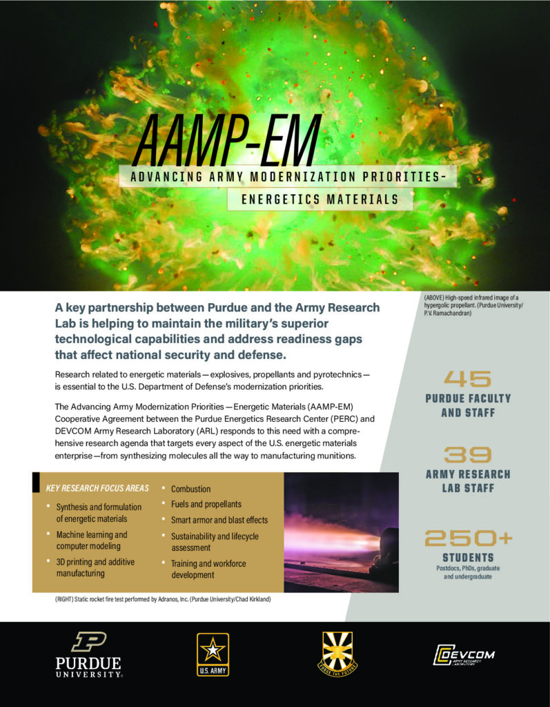AAMP-EM one-pager (PDF)