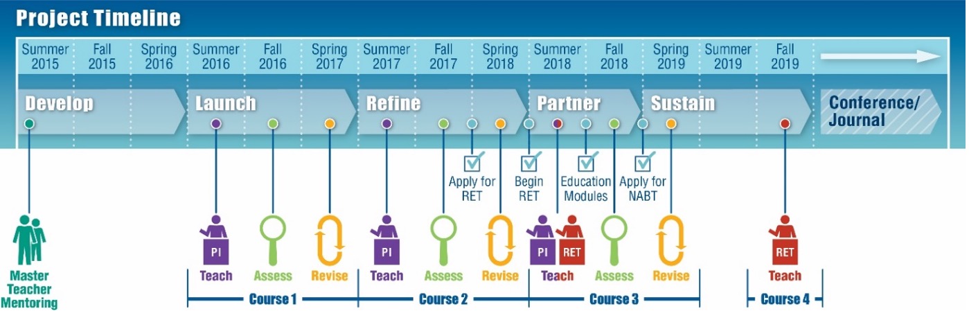 Timeline of education and workforce development phases, from camp curriculum development and iterative teach-assess-revise cycles through a summer research experience for teachers to dissemination at a STEM education conference