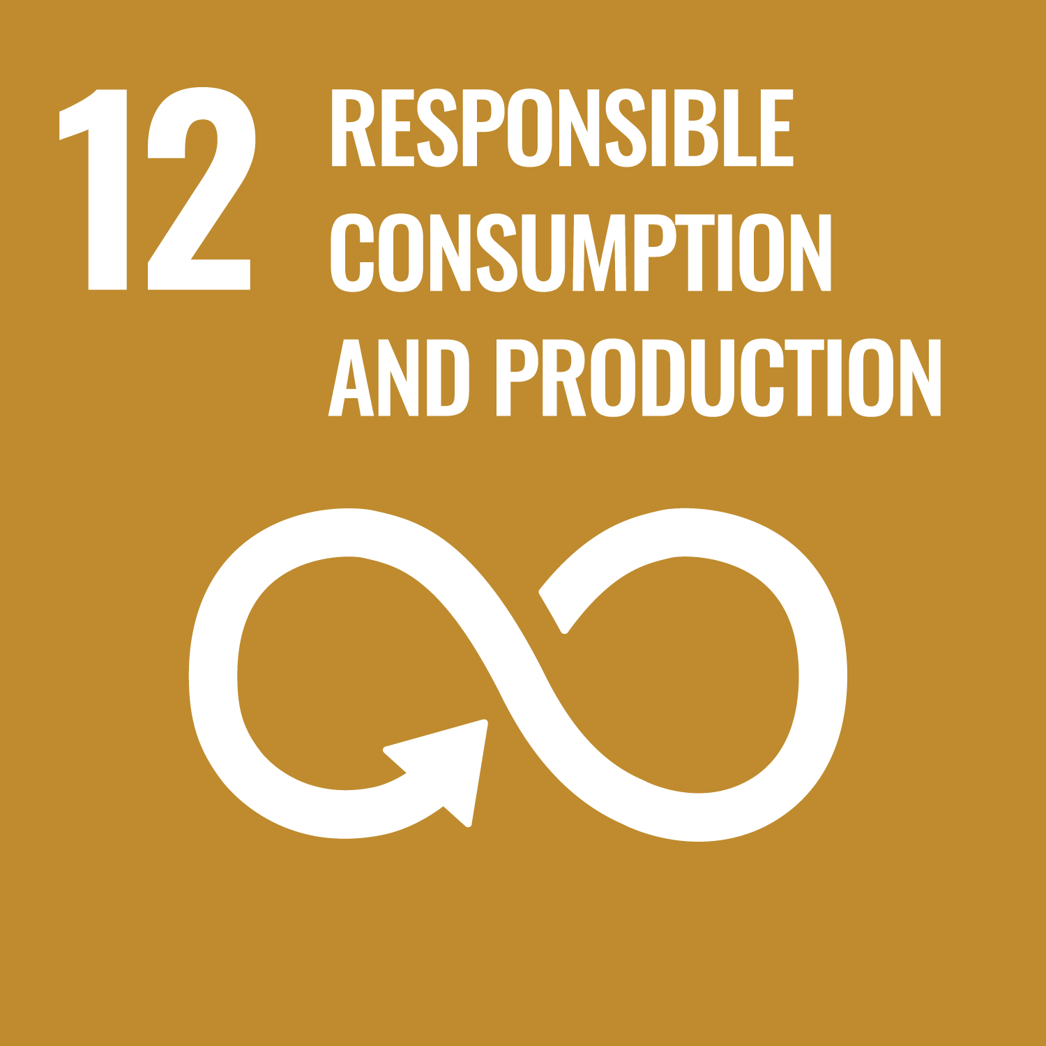 SDG Goal 12, Responsible Consumption and Production