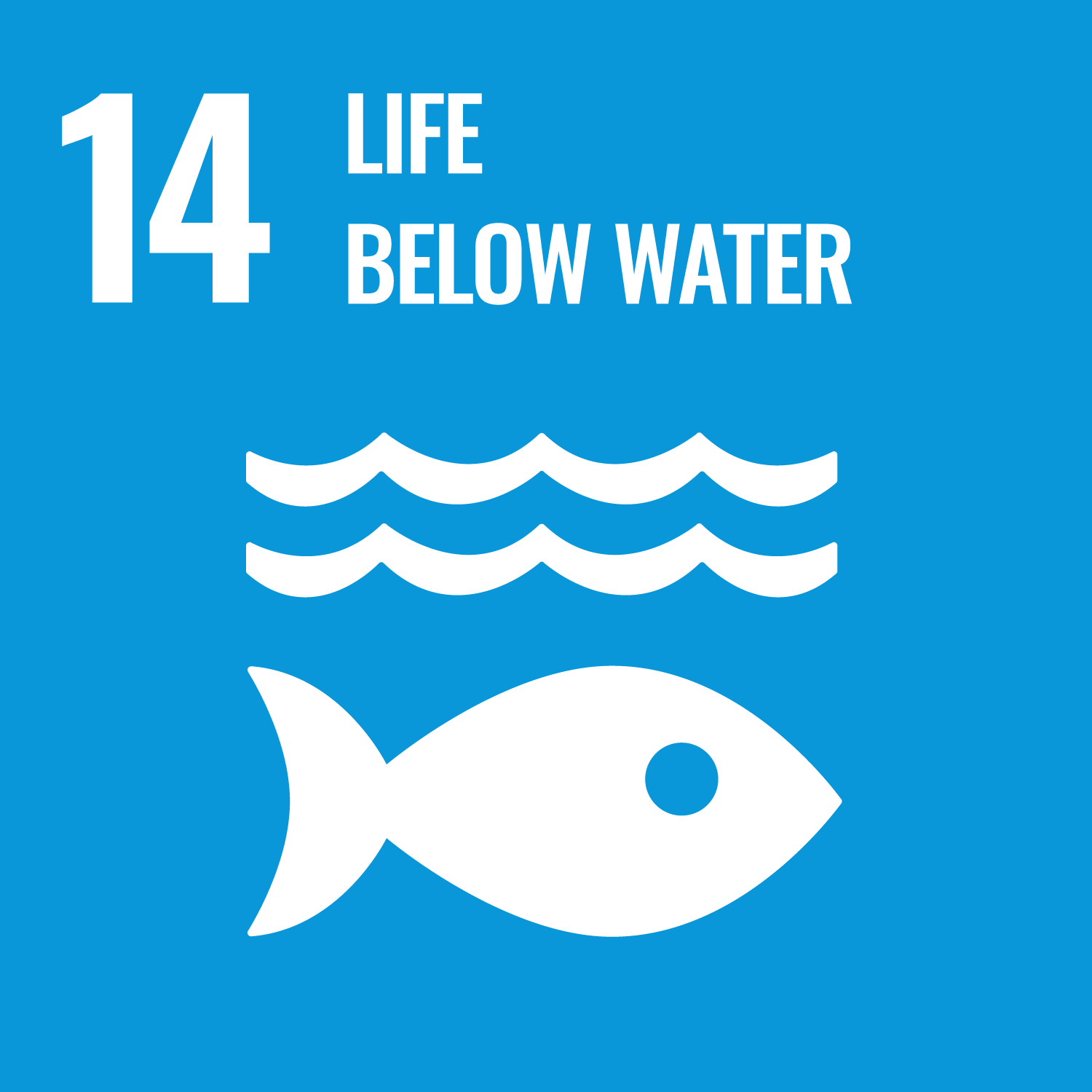 SDG 14, Life Below Water. Blue background with white images symbolizing waves and a fish