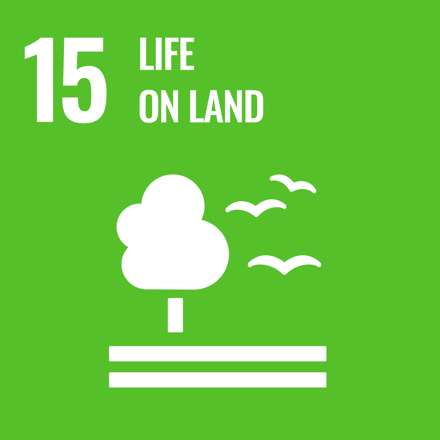 SDG Goal 15, Life on Land. Green background with white images of a tree and birds.